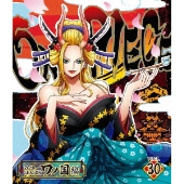 ONE PIECE ワンピース 20THシーズン ワノ国編 PIECE.30