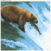 ゴトーチバンドアーカイブ area2 ツツウラウラ