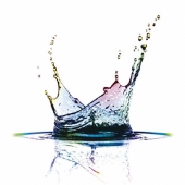 カルペ・ディエム＜通常盤＞