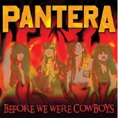 【美品•レア•LP】PANTERA- 邦題:激鉄 Color Vinylレコード 美品•レア•LP】PANTERA- 邦題:激鉄 Color Vinylレコード