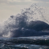 Sound Surrounding On Sado＜限定盤＞