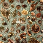 antique [CD+Blu-ray Disc]＜初回生産限定盤＞