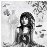 Heart Chamber Phantoms