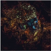 Message From the Other Side