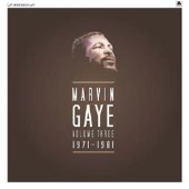 マーヴィン・ゲイ、LP BOX第3弾『Vol.3: 1971-1981』 - TOWER