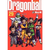 DRAGON BALL 完全版 29
