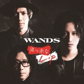WANDS｜初のライブBlu-ray『WANDS Streaming Live ～BURN THE SECRET～』4月7日発売 - TOWER  RECORDS ONLINE