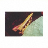 岡田拓郎 - After The Fever 熱のあとに 限定レコード 岡田拓郎