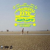 JAMAICA JUMP UP feat.YSIG/WILL YOU LOVE ME TOMORROW feat.CHOCOLAT（アナログ限定盤）＜完全生産限定盤＞