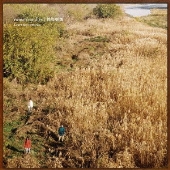 roman candles|憧憬蝋燭