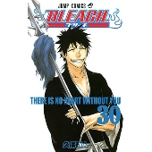 BLEACH -ブリーチ- 30
