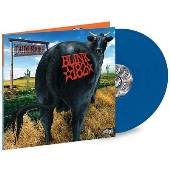 Dude Ranch＜限定盤/Blue Vinyl＞