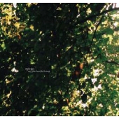 May Your Heart Be The Map