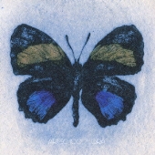 Flora＜通常盤＞