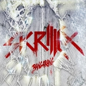 SKRILLEX貴重音源収録盤27枚セットDJスクリレックスダブステップEDM EDM界のモンスター、スクリレックス待望のファースト・アルバム