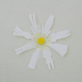 恋だろ/僕らの一歩<通常盤>