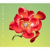 愛の花 [CD+ブックレット]＜通常盤＞