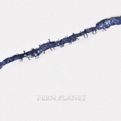 Fern Planet 数量限定シングル ソルジャーガールズ 3月13日発売 Tower Records Online