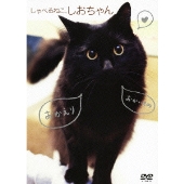 養老孟司先生の事務所を牛耳る スコ座り猫 まる のdvd Tower Records Online