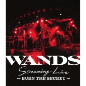 WANDS｜初のライブBlu-ray『WANDS Streaming Live ～BURN THE SECRET