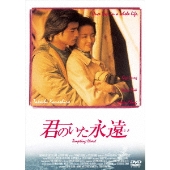 君のいた永遠