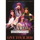 SARD UNDERGROUND LIVE TOUR 2020