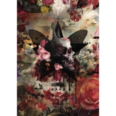 The reproduction 7th anniversary 『FALLING』 THE LIVE [DVD+CD]