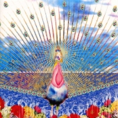 海象（セイウチ）