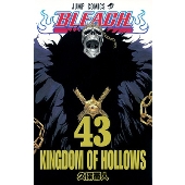 BLEACH―ブリーチ― 43