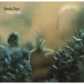 Katy Lied