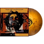 In Tense＜限定盤/Orange Marble Vinyl＞