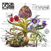 ゆず|ニューアルバム『図鑑』7月31日発売 - TOWER RECORDS ONLINE ゆず|ニューアルバム『図鑑』7月31日発売 - TOWER RECORDS ONLINE