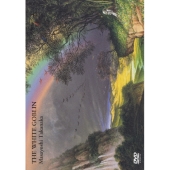 高中正義の豪華な40周年ライヴ！村上“ポンタ”秀一、後藤次利も