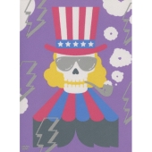 RIP SLYME FUNFAIR TOUR FINAL at BUDOKAN