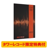 TREASURE 韓国サードミニアルバム『LOVE PULSE』限定特典付きで