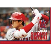 大谷翔平 ｜ 『大谷翔平 全本塁打パーフェクトデータブック 2023