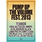 Pump Up The Volume Festival 2013