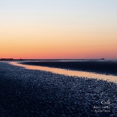 Music is Ours - Saxmental Version (7inch edit) c/w Sunday Sun feat. 中納良恵(Ego-Wrappin')(7inch edit)＜限定盤＞