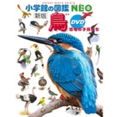 小学館の図鑑NEO〔新版〕 鳥 DVDつき DVDつき 恐竜の子孫たち [BOOK+DVD]