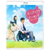 パーフェクトワールド　邦画TVドラマDVD　全5巻　レンタル落ち　松坂桃李 松坂桃李主演のドラマ「パーフェクトワールド」、Blu-ray＆DVDの
