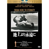 地上より永遠に