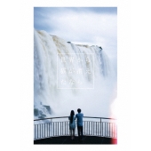 世界から猫が消えたなら 豪華版