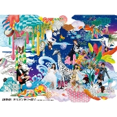 ミリオンがいっぱい～AKB48ミュージックビデオ集～ スペシャルBOX [6DVD+豪華ブックレット]