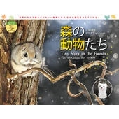 森の動物たちカレンダー 太田達也セレクション 2025