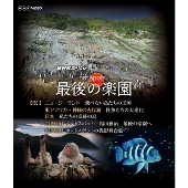 福山雅治 12年公開 映画ドラえもん のび太と奇跡の島 主題歌を担当 Tower Records Online