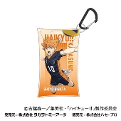 劇場版ハイキュー!! ゴミ捨て場の決戦 マルチクリアケース Sサイズ01 日向 翔陽