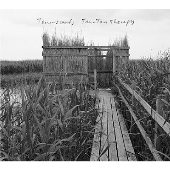 タンタン・テラピー