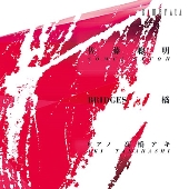 佐藤聰明:橋(I～V)