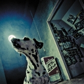 パワースポット＜通常盤＞