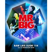 MR.BIG、25周年記念オフィシャル・アーカイヴ・ボックス - TOWER RECORDS ONLINE